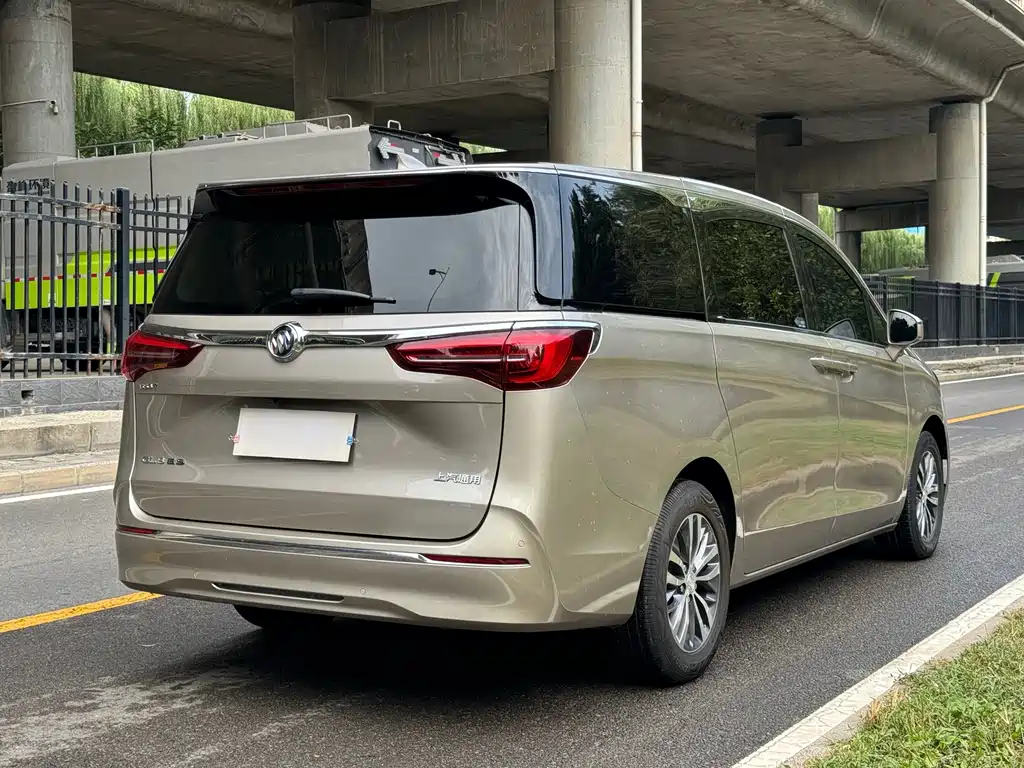 Buick GL8 — миниатюра 15