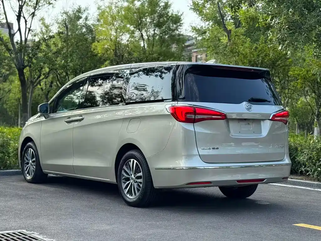 Buick GL8 2018 ES 28T Luxury VI