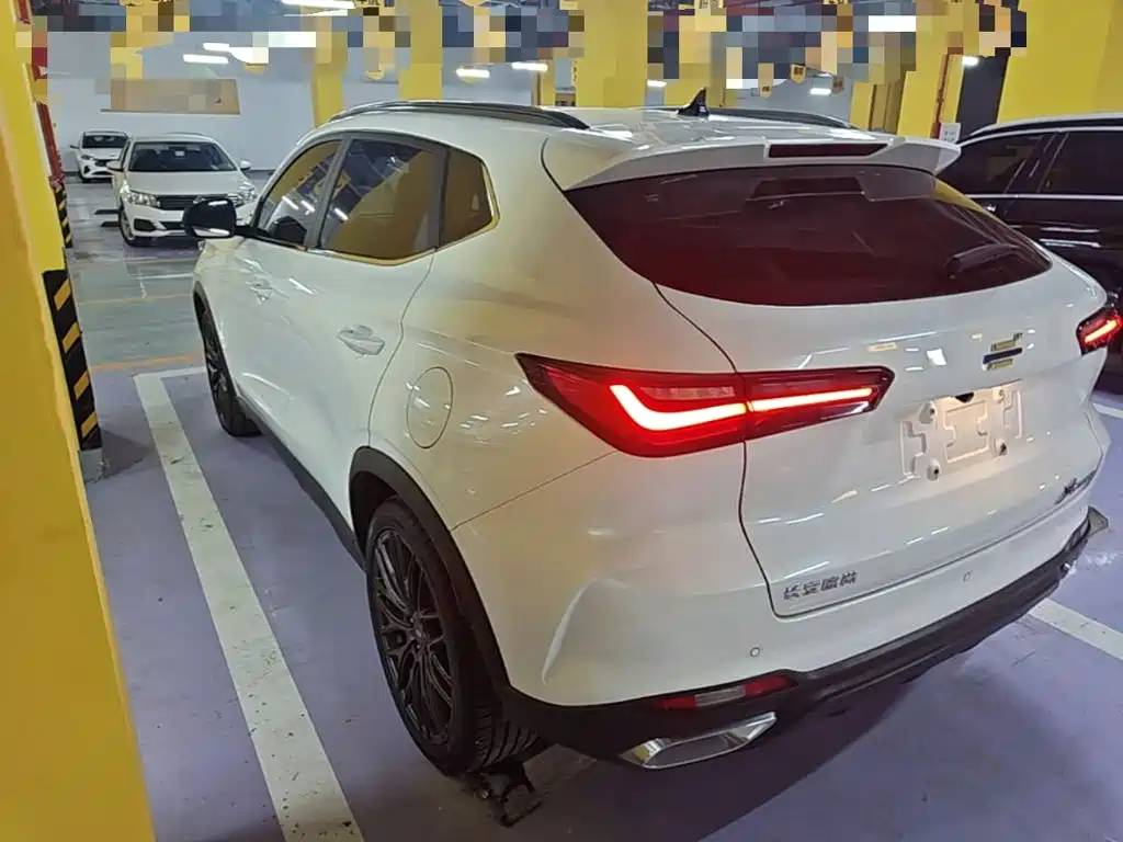 Oshan Oushang X5 — миниатюра 5
