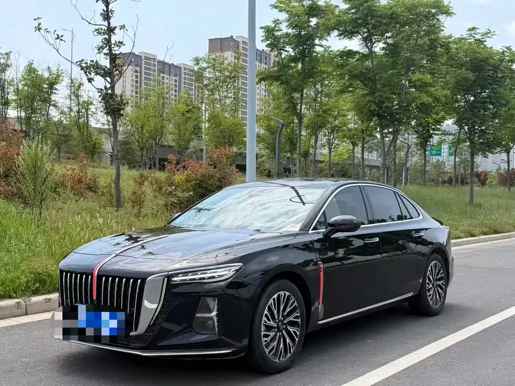 Hongqi Hongqi H5 2024