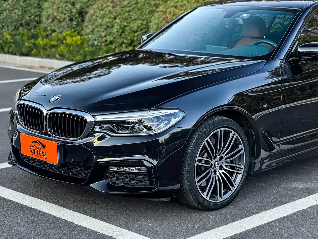 BMW 5 Series 5 2018 530Li Premium M Sport