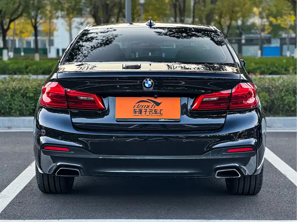 BMW 5 Series 5 2018 530Li Premium M Sport