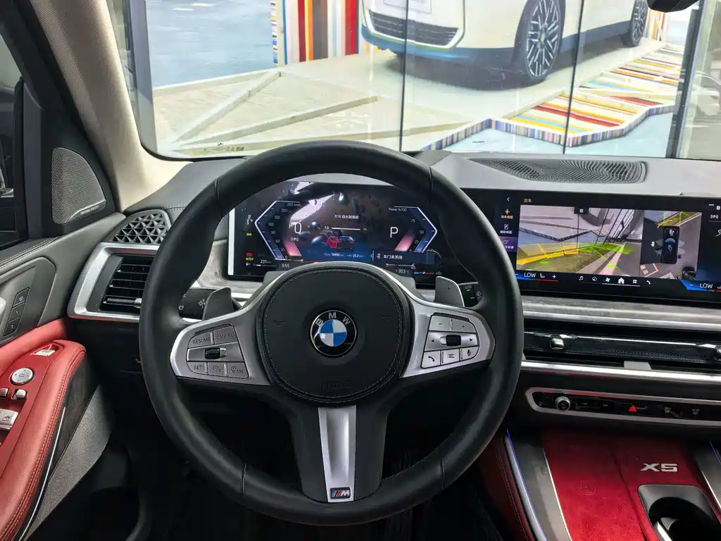 BMW X5 — миниатюра 4