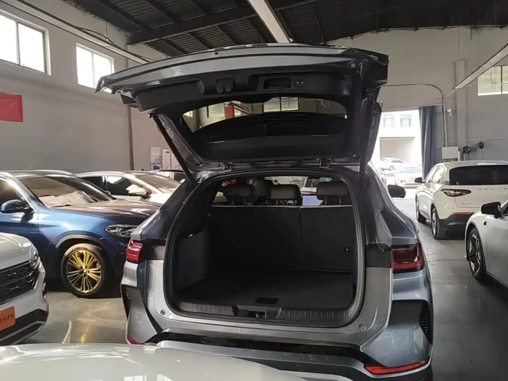 BYD PLUS New Energy — миниатюра 19