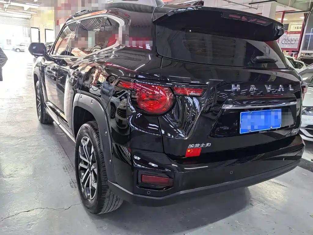 Haval Big Dog PLUS — миниатюра 4