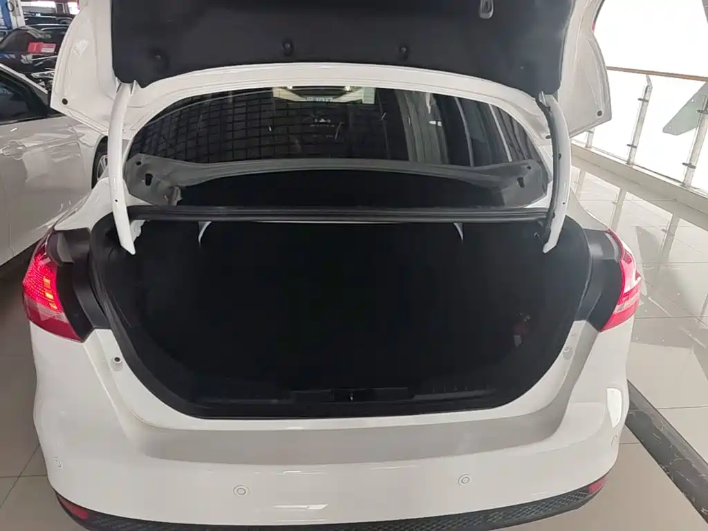 Ford Focus — миниатюра 19
