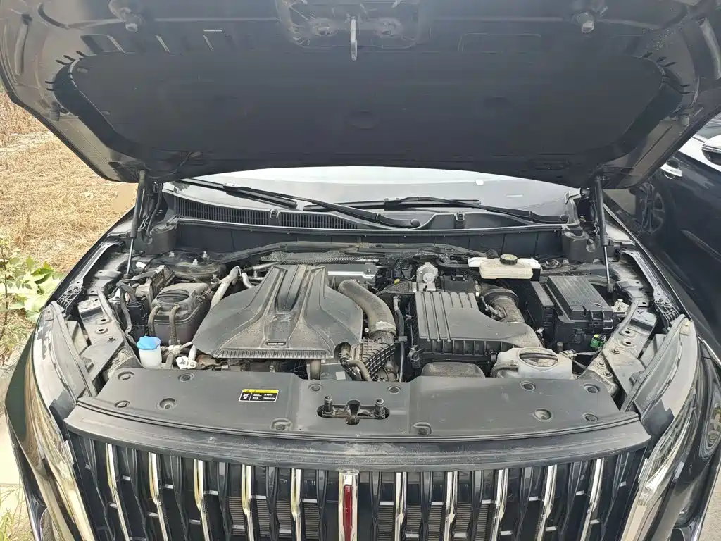 Hongqi Hongqi HS7 PHEV — миниатюра 20