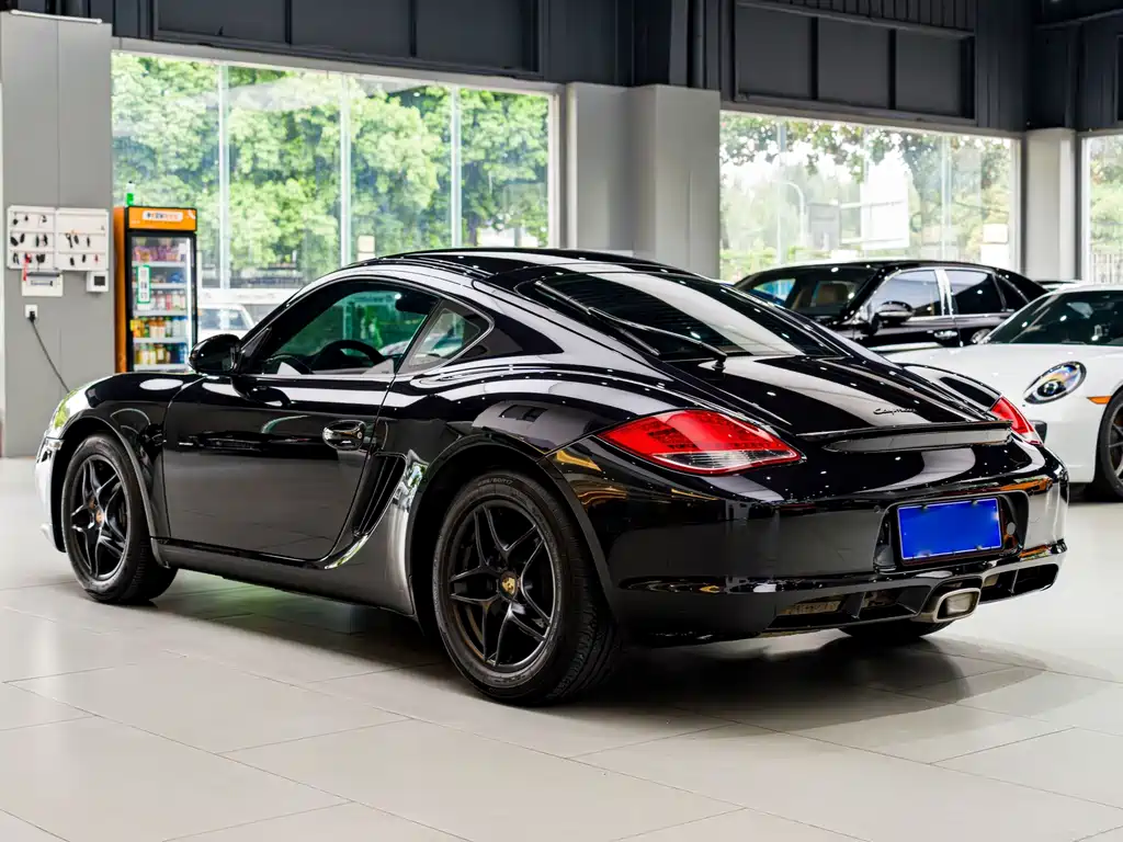 Porsche Cayman — миниатюра 13