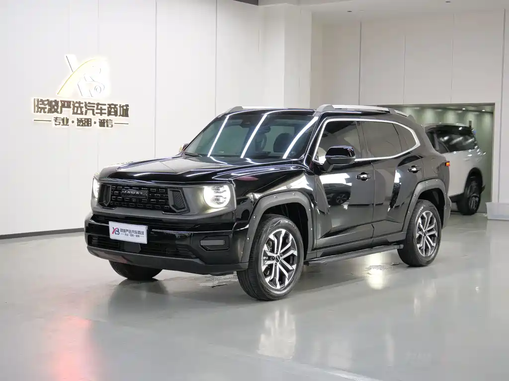 Купить Haval 哈弗大狗 PLUS