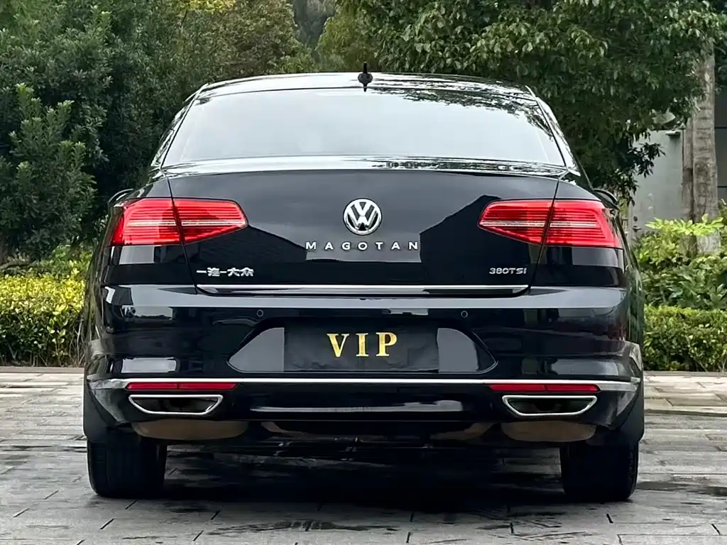 Volkswagen Magotan 2019 380TSI DSG Luxury V