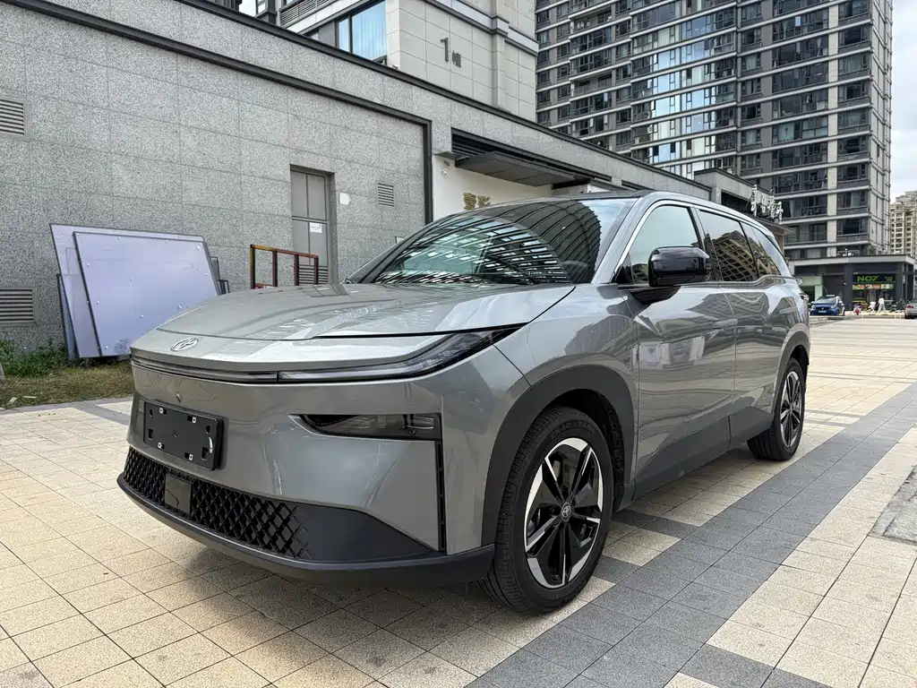 TOYOTA PLATINUM WISDOM 3X