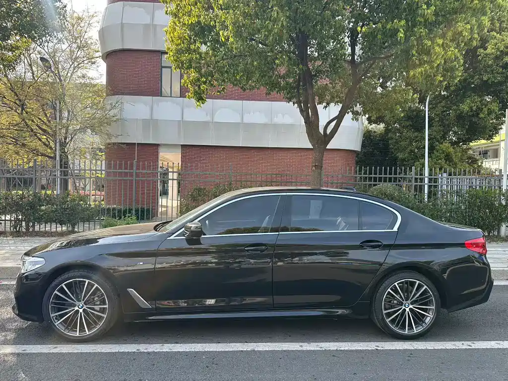 BMW 5 Series 5 2020 530Li xDrive M Sport