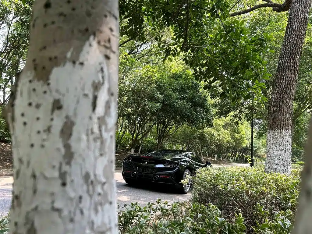 Ferrari F8 2019 Tributo 3.9T V8