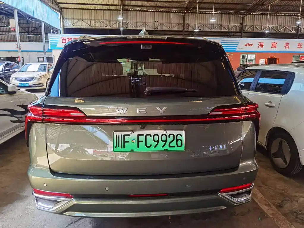 WEI PAI WEI BRAND BLUE MOUNTAIN