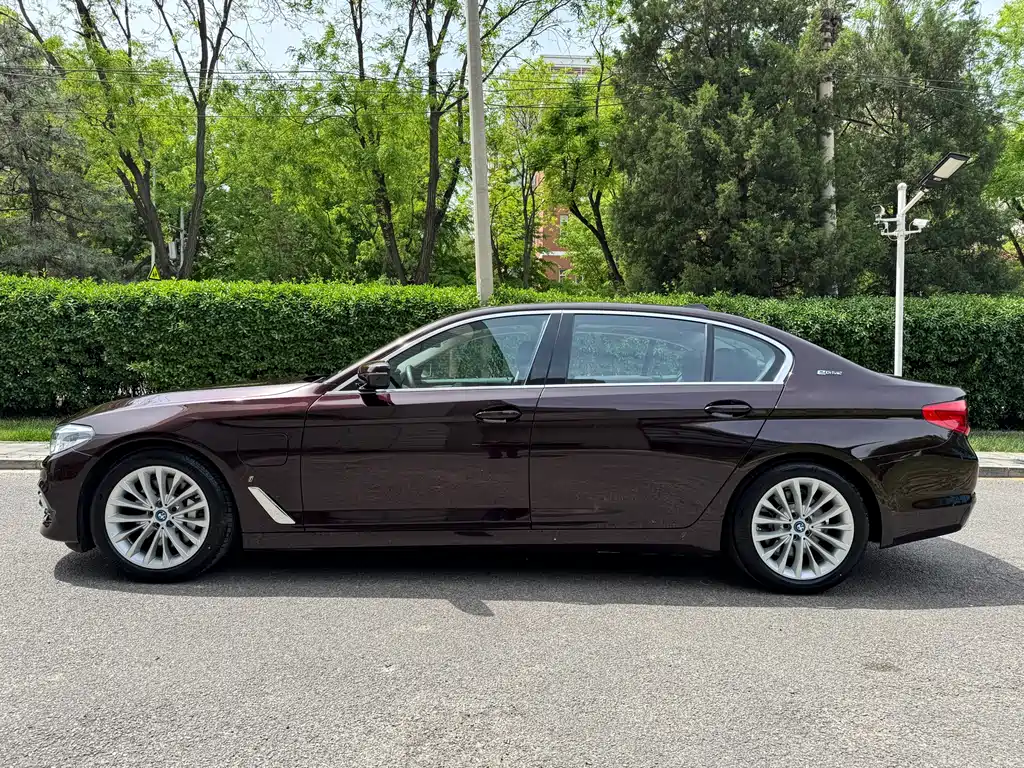 BMW 5 Series 5 2019 530Le Luxury