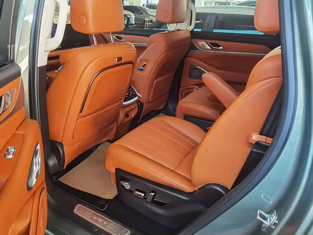 WEI PAI WEI BRAND BLUE MOUNTAIN