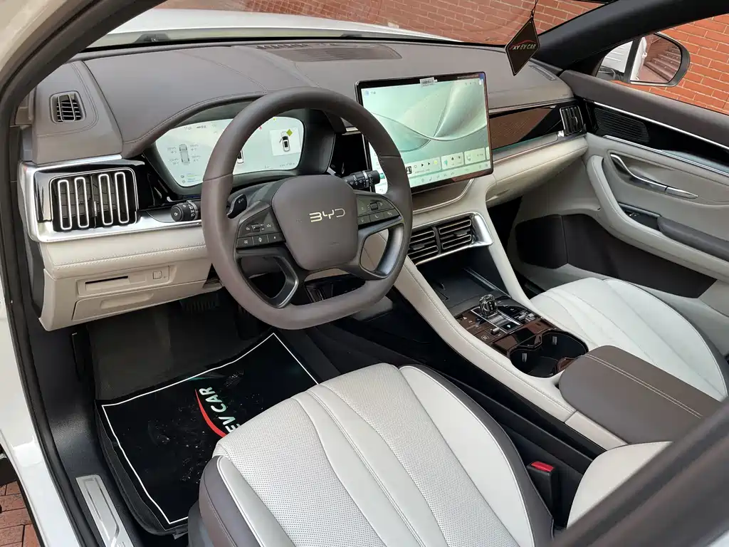 BYD SONGJIANG NEW ENERGY