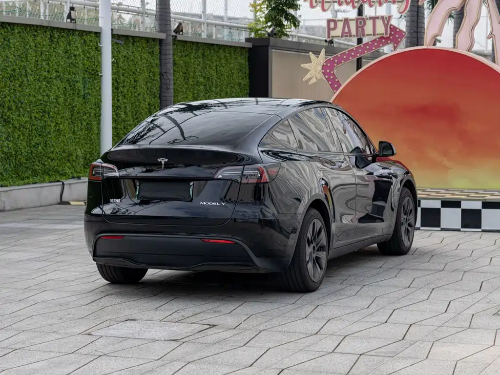 Tesla Model Y — миниатюра 5