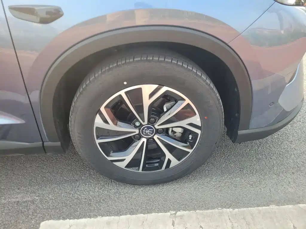 BYD SONGJIANG NEW ENERGY