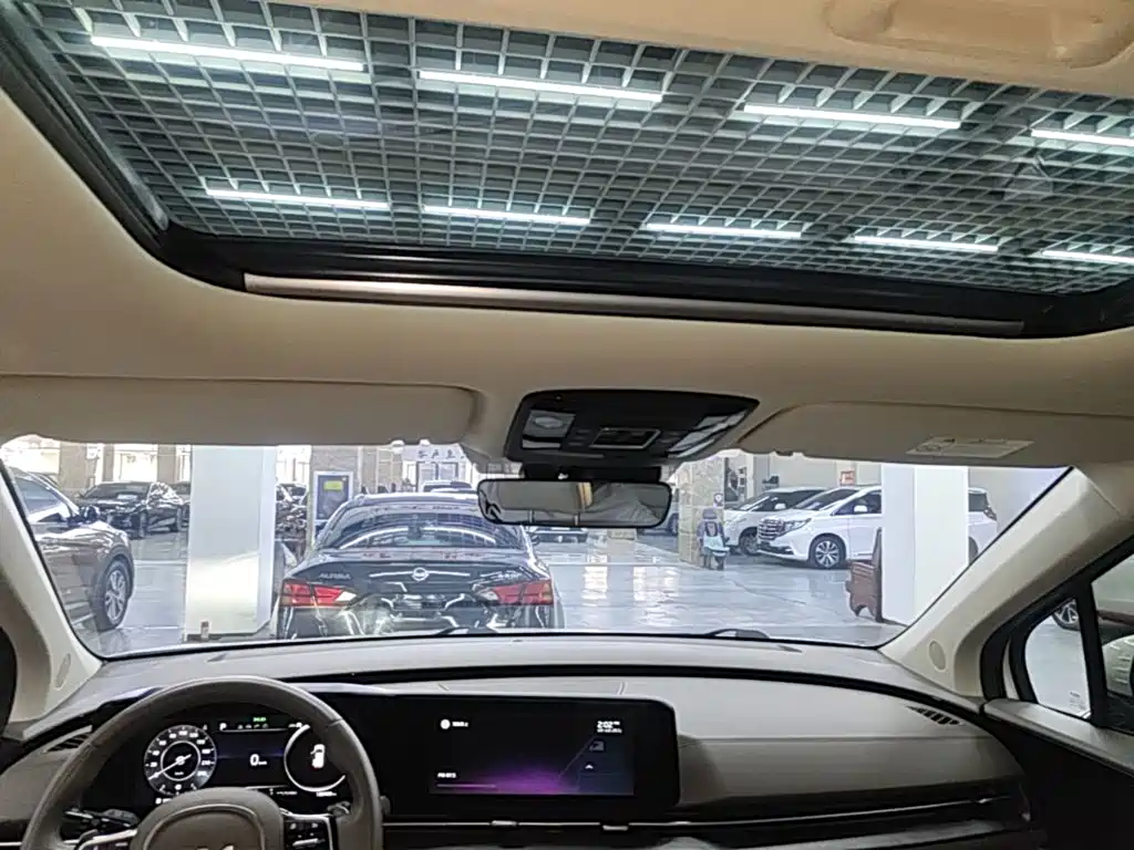 Kia Carnival — миниатюра 14