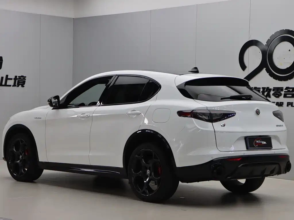 Alfa Romeo Stelvio — миниатюра 27
