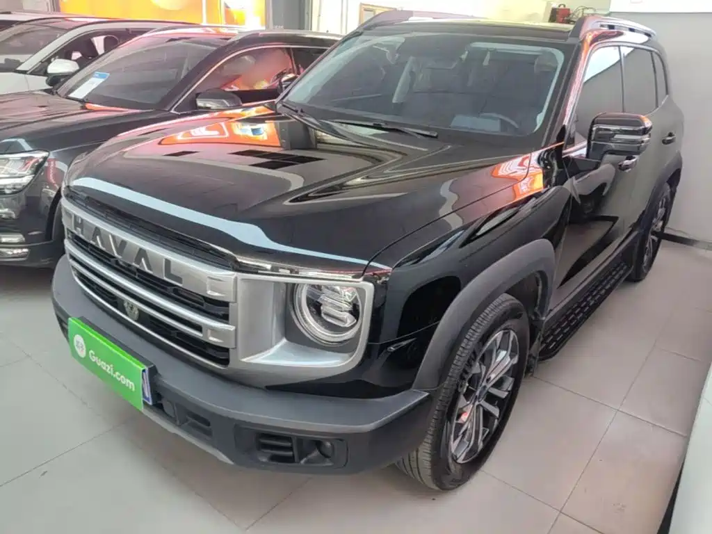 Haval Big Dog