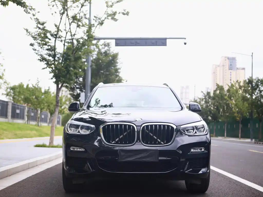 BMW X3 — миниатюра 2