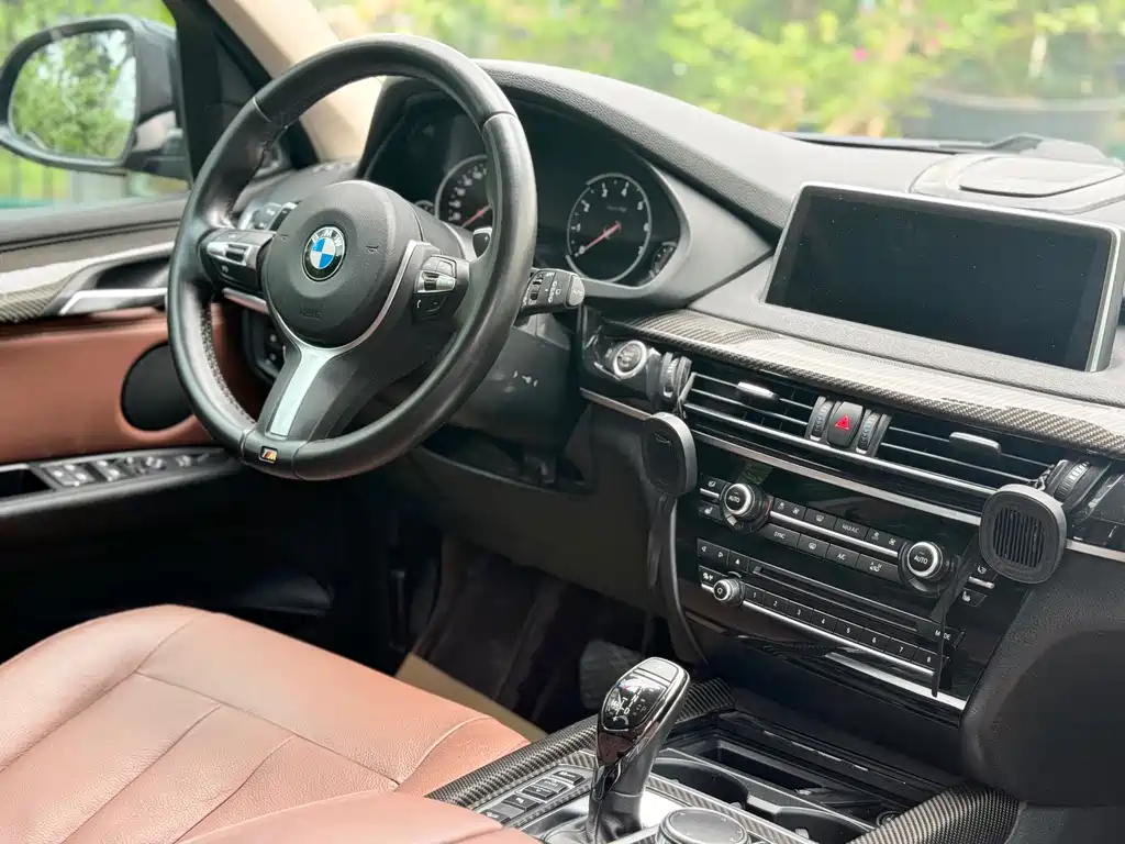 BMW X5 (Import) — миниатюра 13