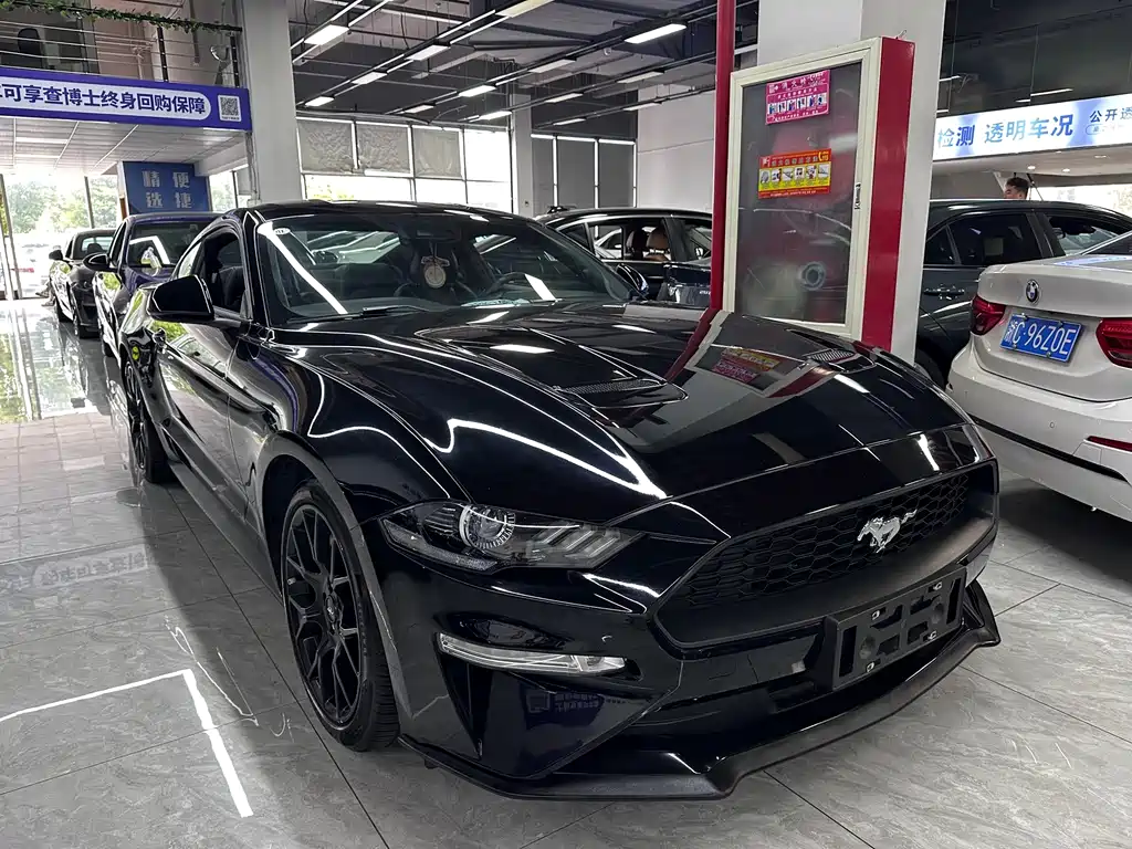 Ford Mustang — миниатюра 3