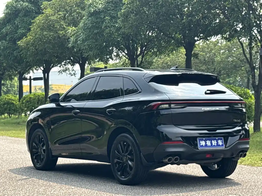 Fengxing Fengxing T5 EVO — миниатюра 4