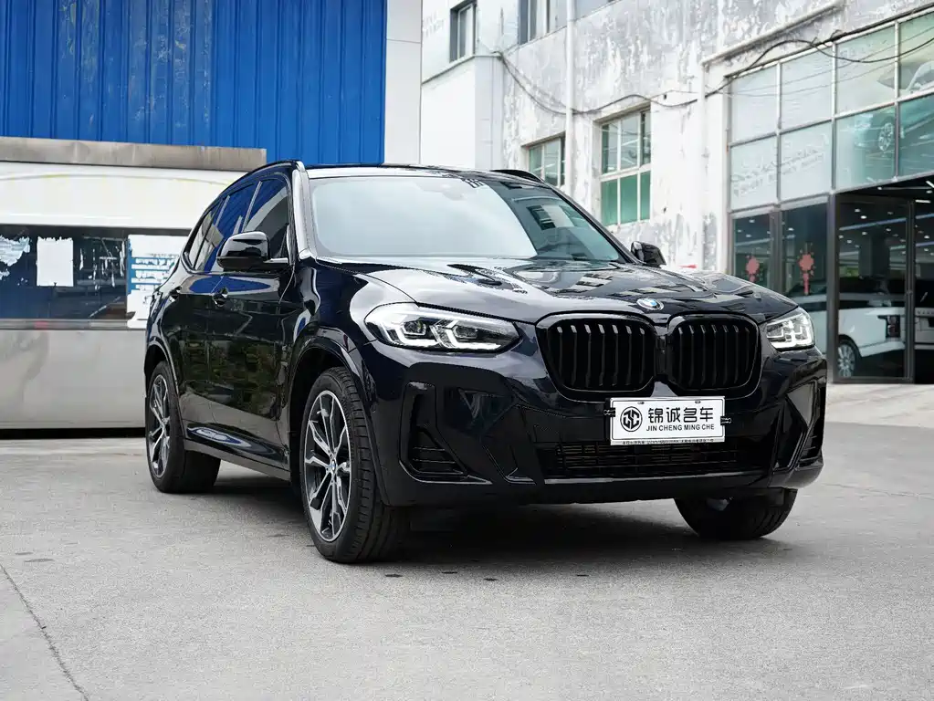 BMW X3 — миниатюра 2