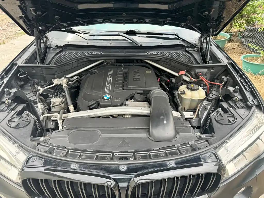 BMW X5 (Import) — миниатюра 21