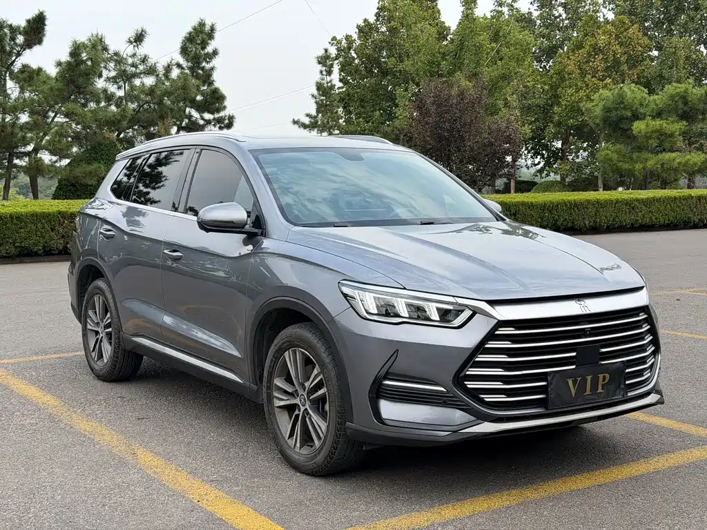 BYD Pro — миниатюра 2