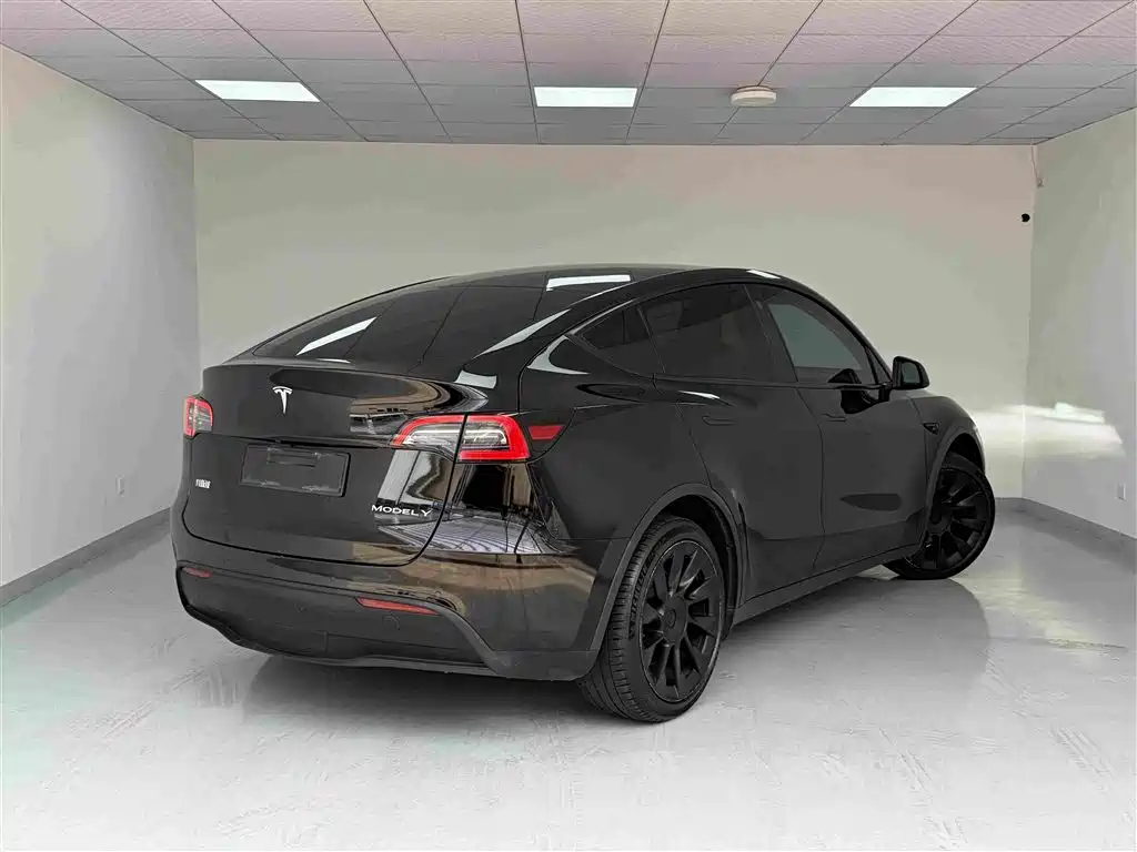 Tesla Model Y — миниатюра 17
