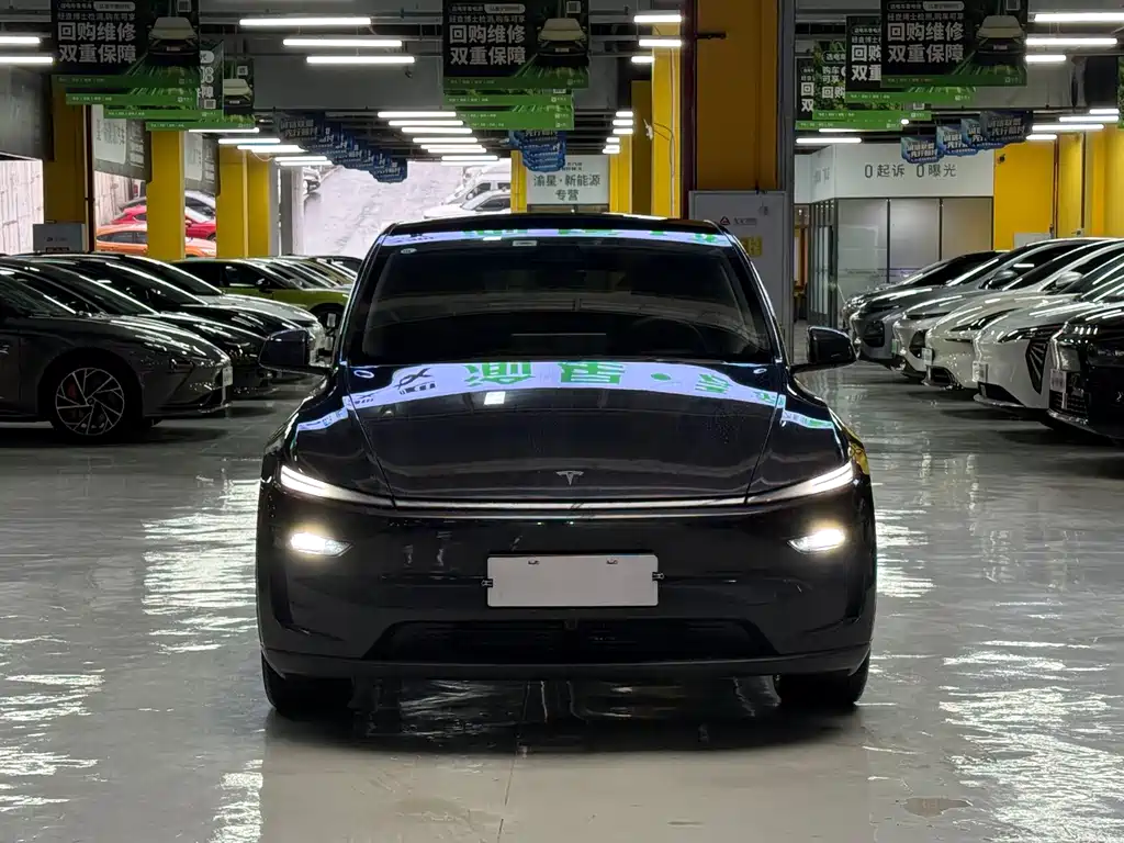 Tesla Model Y — миниатюра 2