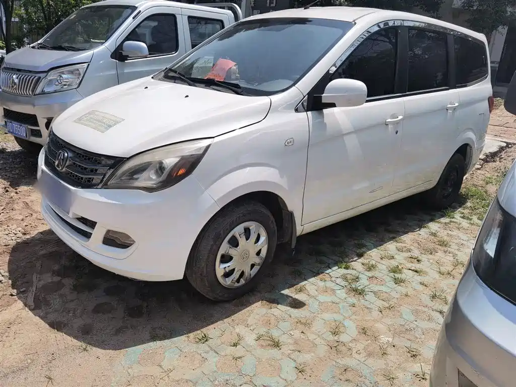 Купить BAW Weiwang M20