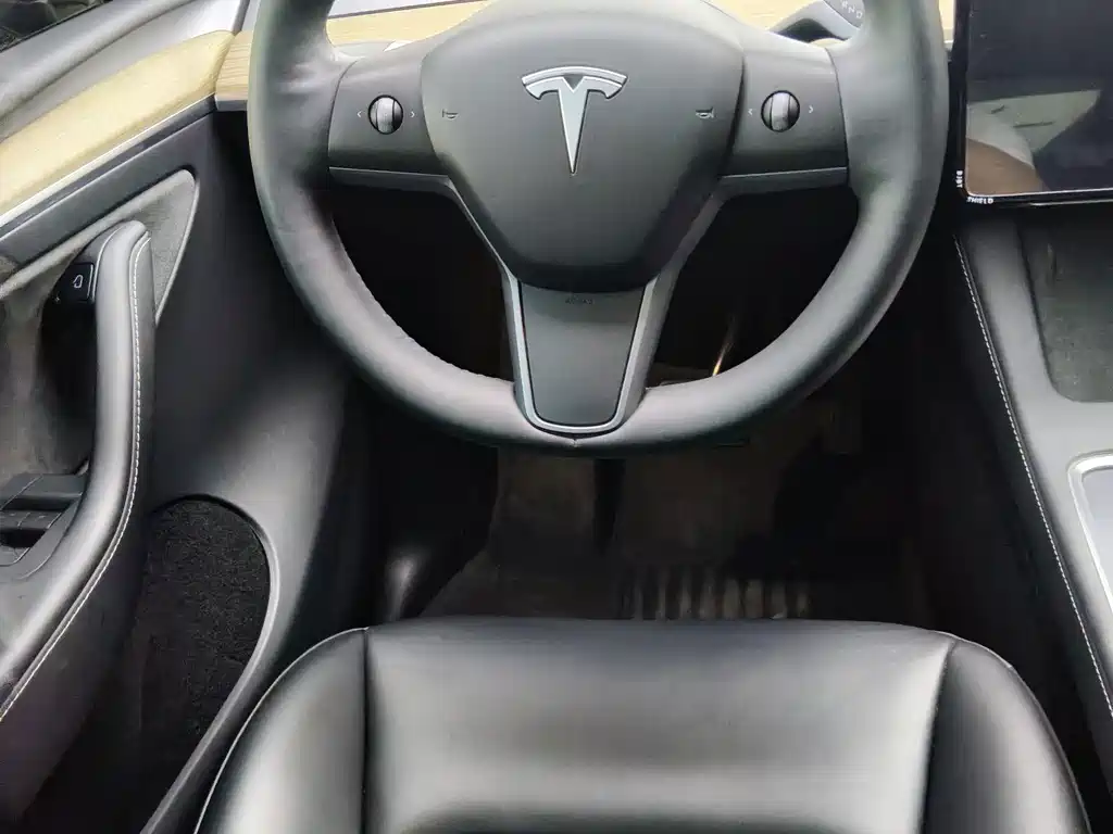 Tesla Model Y — миниатюра 10