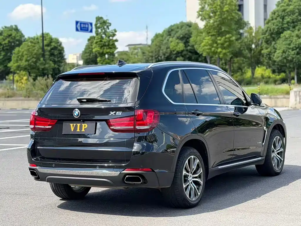 BMW X5 (Import) — миниатюра 5