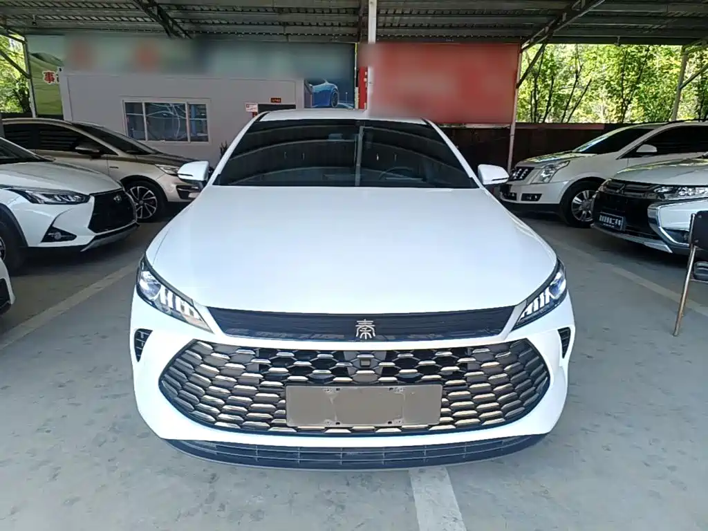 BYD Qin PLUS — миниатюра 3