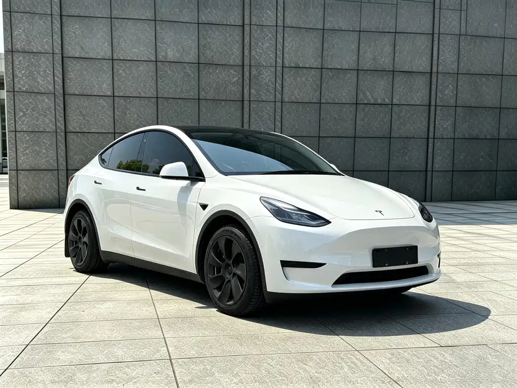 Tesla Model Y — миниатюра 3