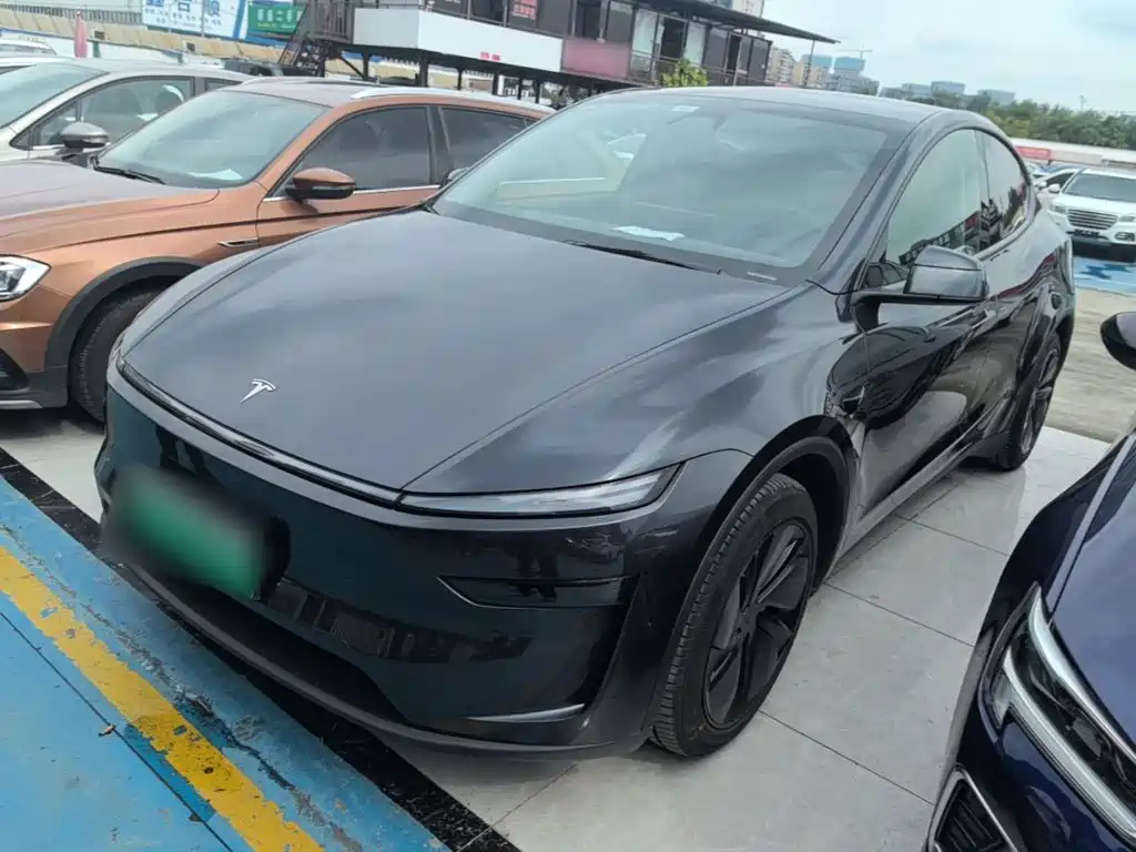 Tesla Model Y — миниатюра 2