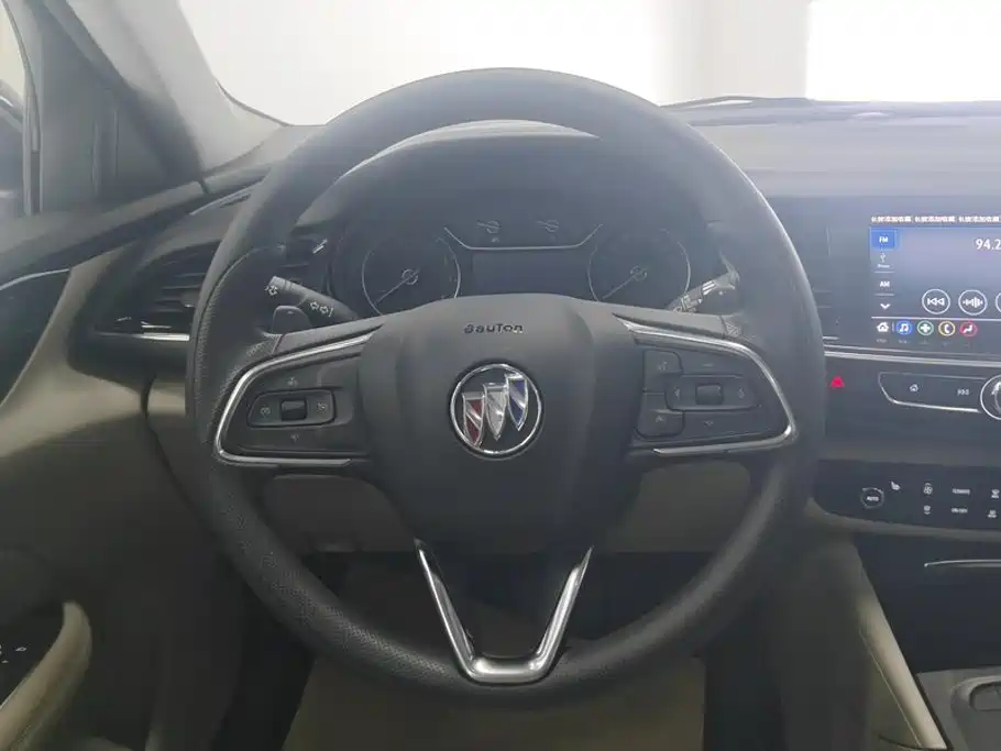 Buick Regal — миниатюра 15