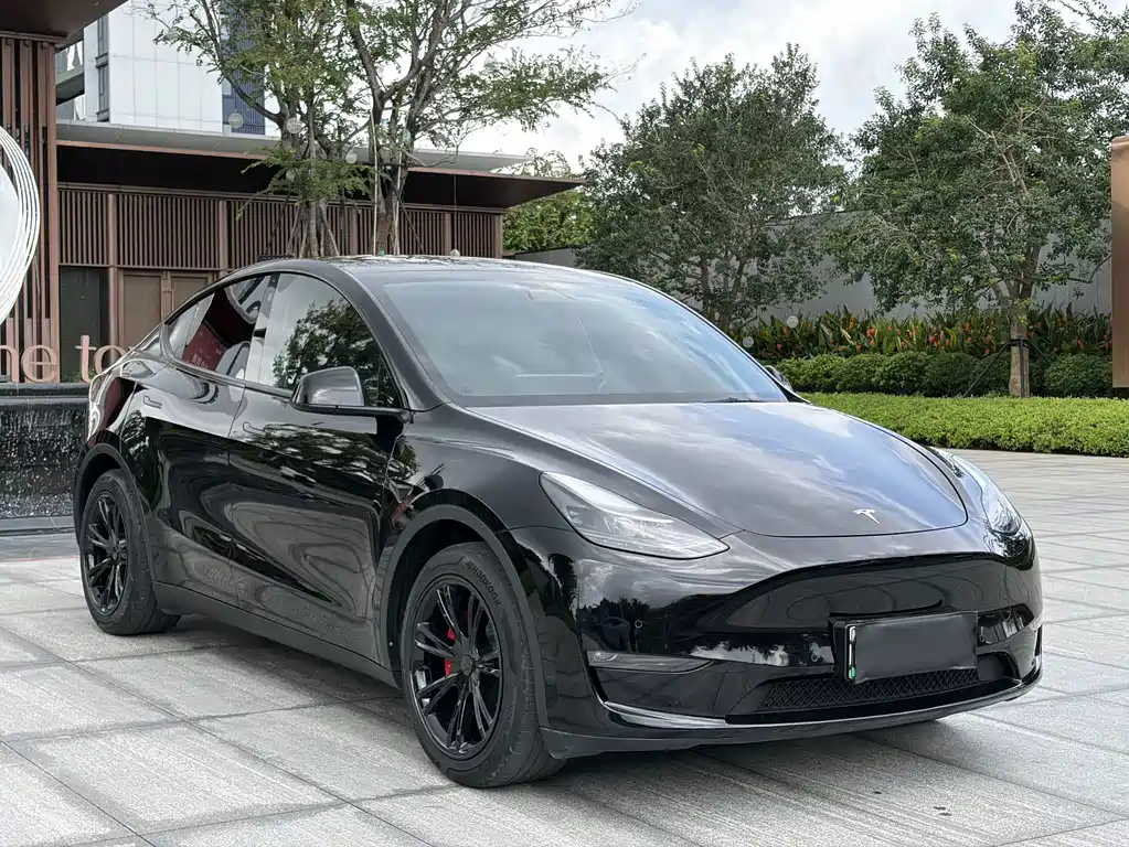 Tesla Model Y — миниатюра 4