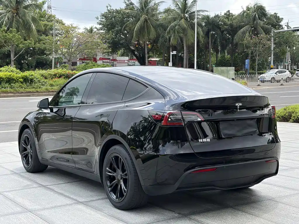Tesla Model Y — миниатюра 10