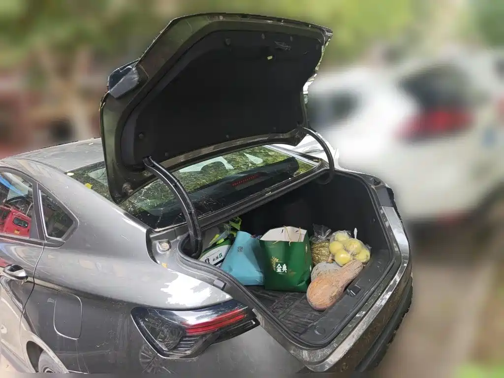 Geely Binrui — миниатюра 15