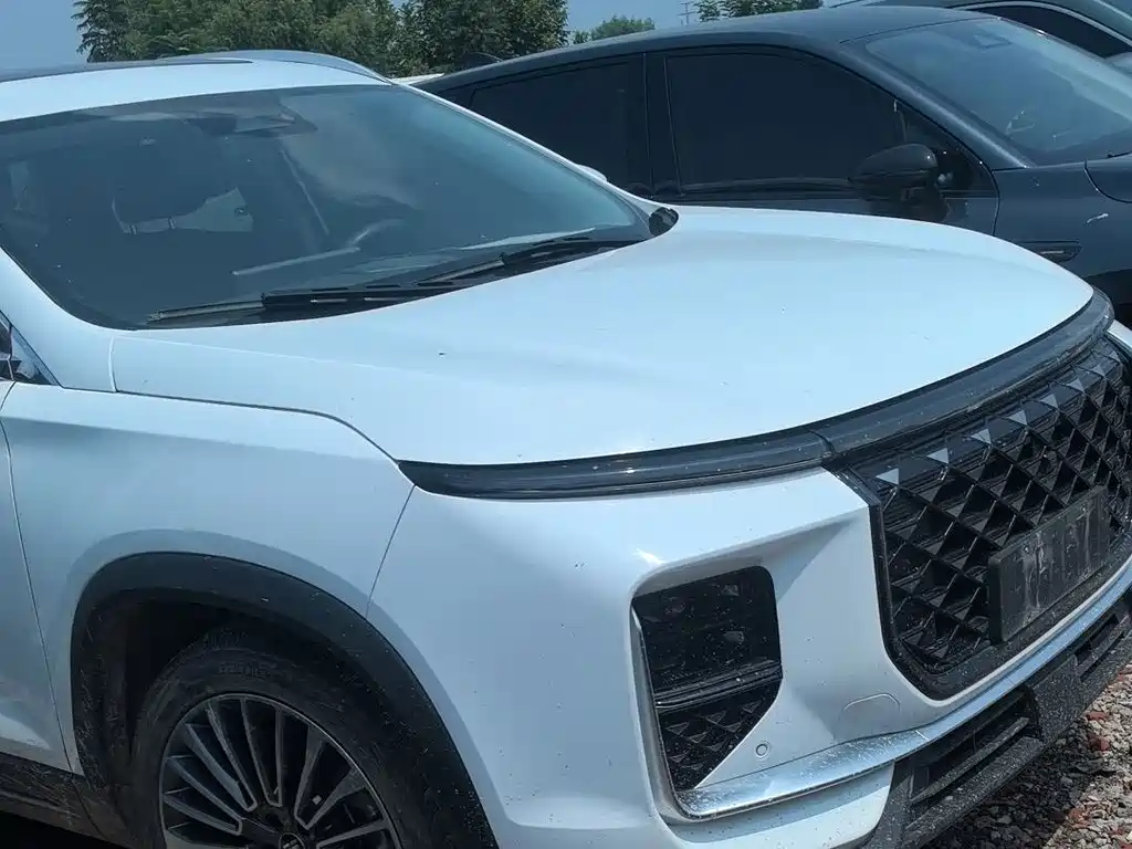 Shanhai Shanhai L9 — миниатюра 3