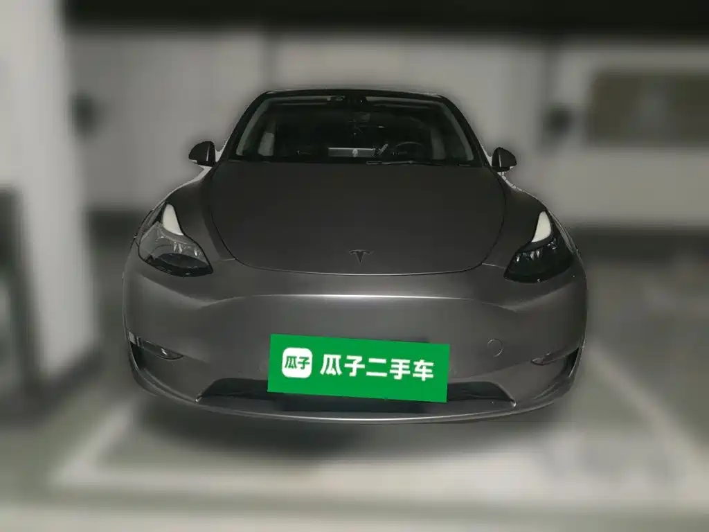 Tesla Model Y — миниатюра 3