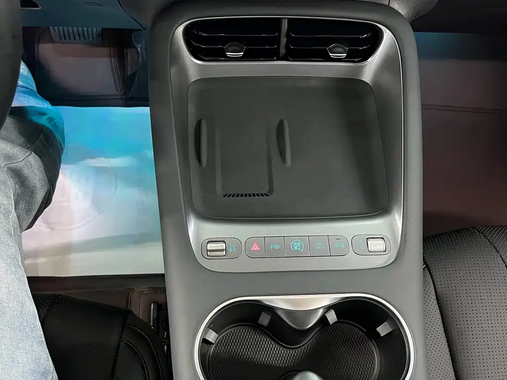 BYD Sealion 06 — миниатюра 12
