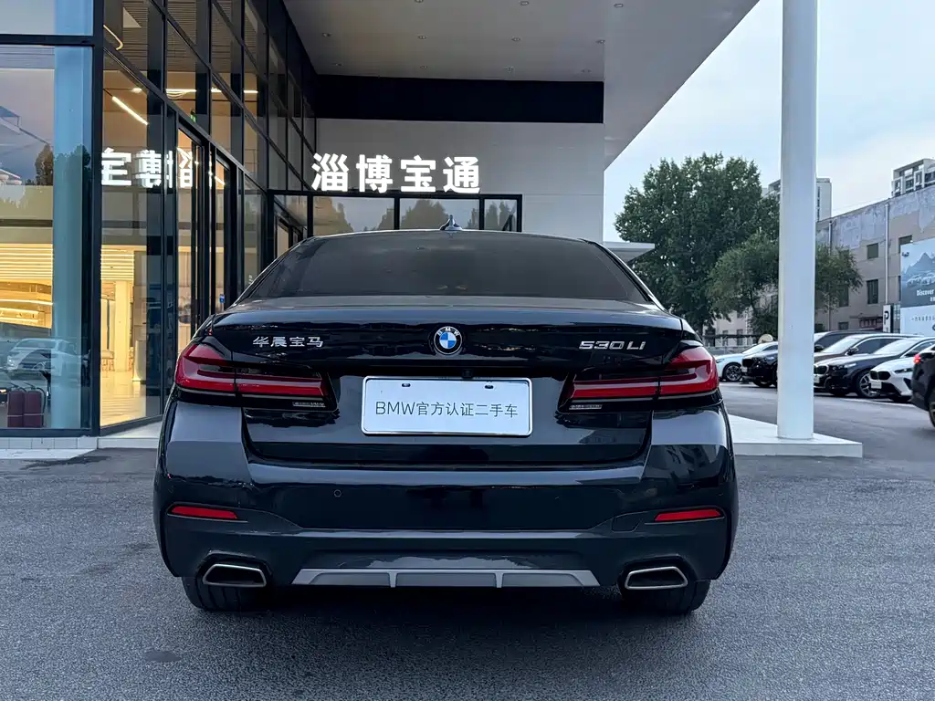 BMW 5 Series — миниатюра 12