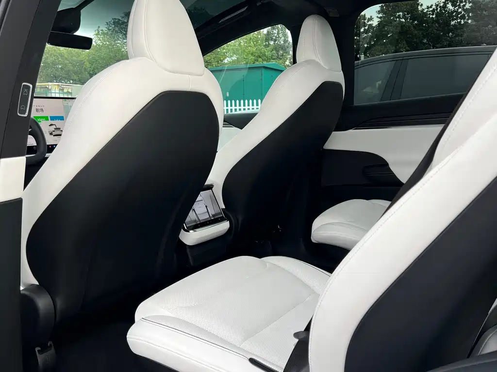 Tesla Model X — миниатюра 8